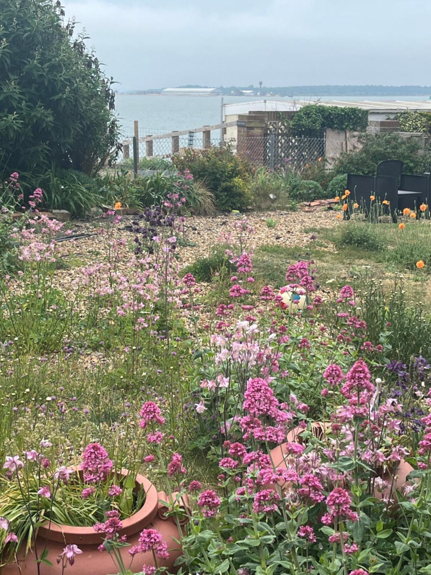 Cove Cott Guest Accommodation Warsash Buitenkant foto